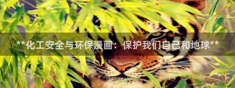 亿万贴吧：**化工安全与环保漫画：保护我们自己和地球**