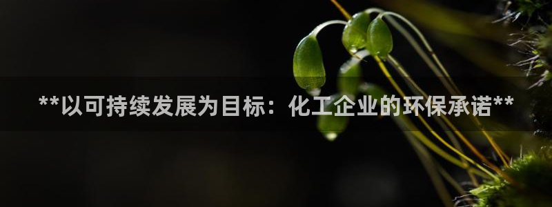 亿万堂官网：**以可持续发展为目标：化工企业的环保承诺**