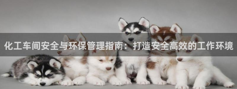 亿万同人字幕组微博的微博：化工车间安全与环保管理指南：打造安全高效的工作环境