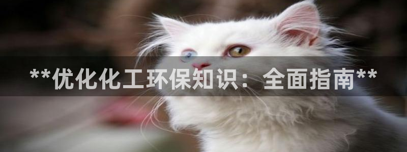 亿万先生合并网址是多少