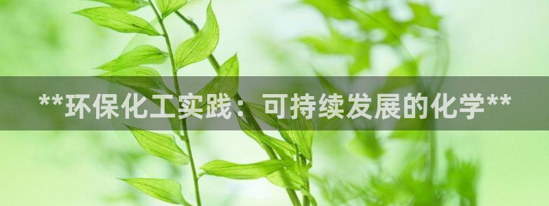 亿万先生换网址了吗：**环保化工实践：可持续发展的化学**