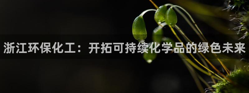 亿万先生合并网址是多少：浙江环保化工：开拓可持续化学品的绿色未来