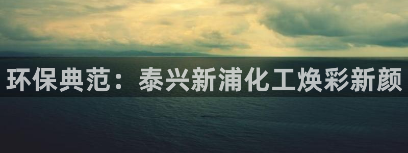 亿万国际合法吗：环保典范：泰兴新浦化工焕彩新颜