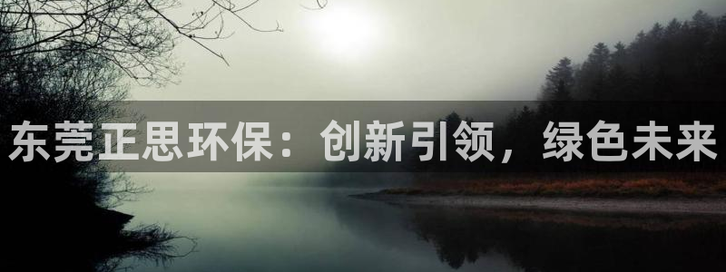 亿万首富手游：东莞正思环保：创新引领，绿色未来