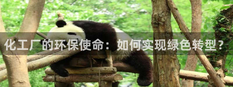 亿万先生官方客服电话：化工厂的环保使命：如何实现绿色转型？