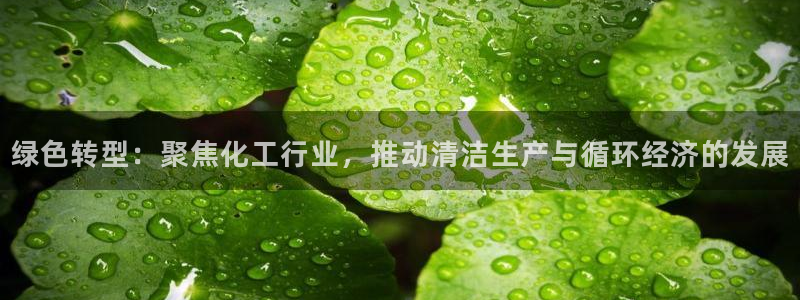 亿万先生现在的网址谁知道：绿色转型：聚焦化工行业，推动清洁生产与循环经济的发展