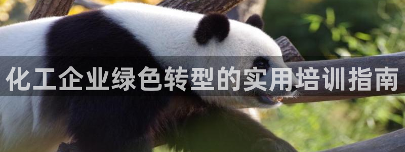 亿万官网字幕：化工企业绿色转型的实用培训指南