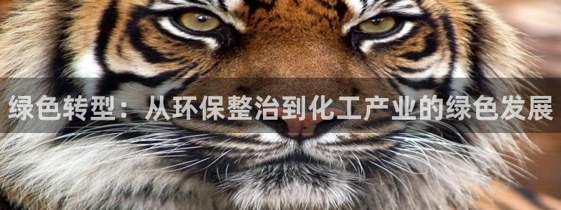 亿万百度百科：绿色转型：从环保整治到化工产业的绿色发展