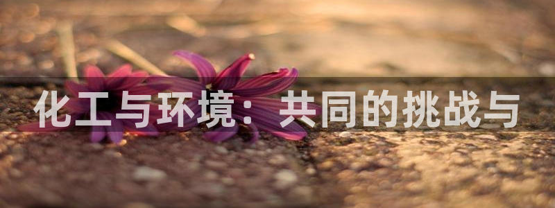 亿万先生客服联系方式是什么：化工与环境：共同的挑战与
