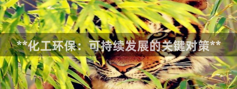 亿万手游平台官网入口：**化工环保：可持续发展的关键对策**