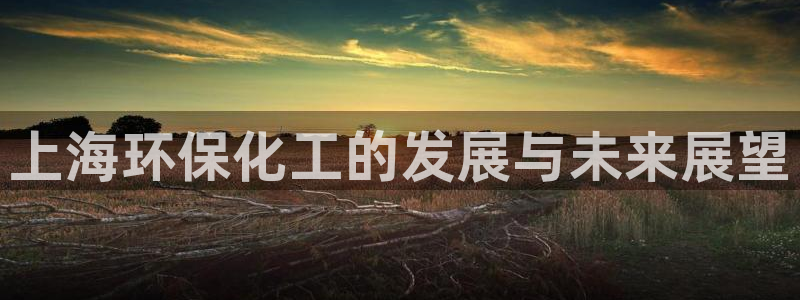 亿万集团：上海环保化工的发展与未来展望