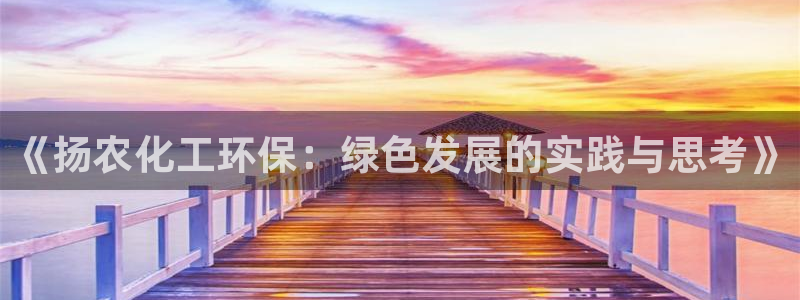 mr07亿万先生：《扬农化工环保：绿色发展的实践与思考》