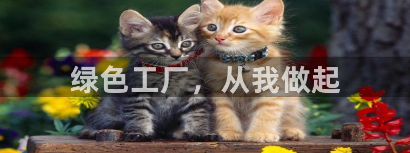 亿万先生网页版：绿色工厂，从我做起