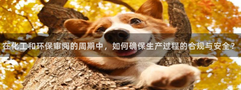 亿万先生 手机版下载安装