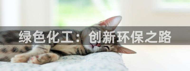 亿万先生充电桩怎么样：绿色化工：创新环保之路