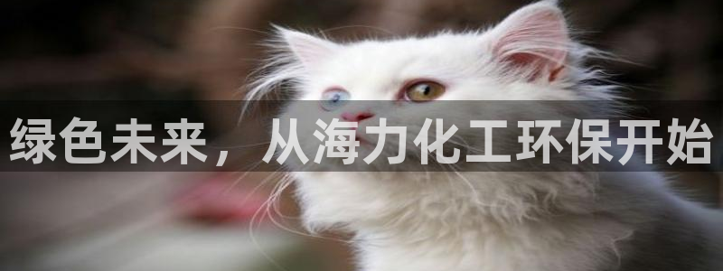 亿万百度贴吧：绿色未来，从海力化工环保开始