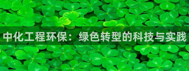 亿万先生客户端官网登录不上：中化工程环保：绿色转型的科技与实践