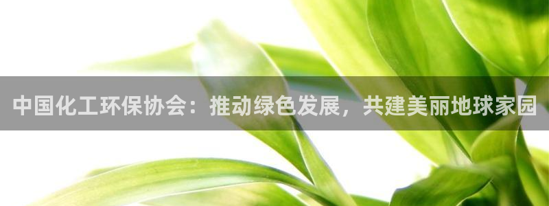 亿万网友在线解答：中国化工环保协会：推动绿色发展，共建美丽地球家园
