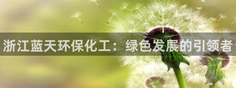 亿万集团有限公司：浙江蓝天环保化工：绿色发展的引领者