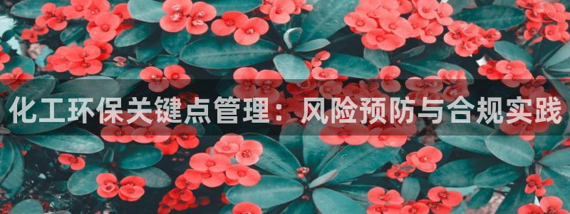 亿万先生换网址了吗知乎：化工环保关键点管理：风险预防与合规实践