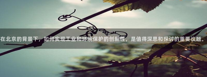 亿万网络科技有限公司：在北京的背景下，如何实现工业和环境保护的创新性，是值得深思和探讨的重要议题。