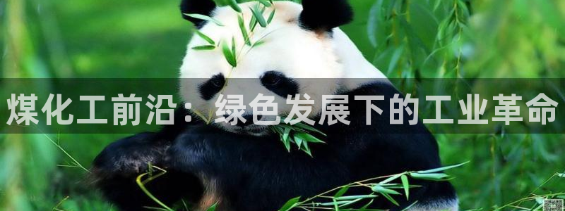 亿万先生官方网站客户端下载安装