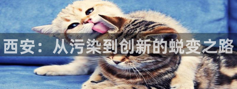 亿万先生手机版入口在哪：西安：从污染到创新的蜕变之路