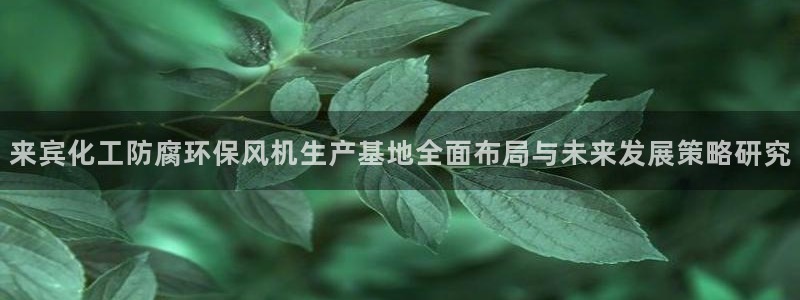 亿万先生客服联系：来宾化工防腐环保风机生产基地全面布局与未来发展策略研究