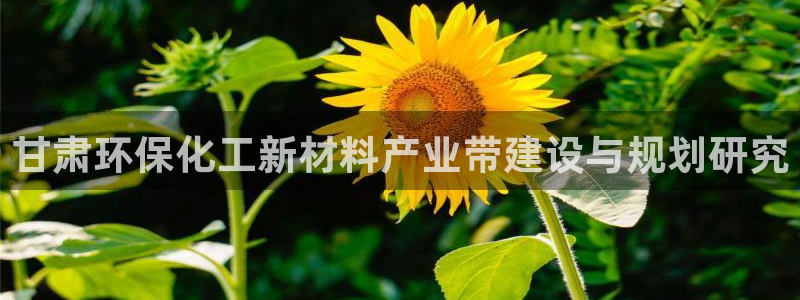 亿万同人字幕分享jogoduplo：甘肃环保化工新材料产业带建设与规划研究