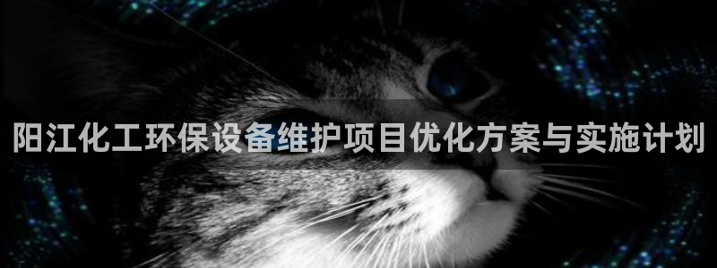 mr07亿万先生：阳江化工环保设备维护项目优化方案与实施计划