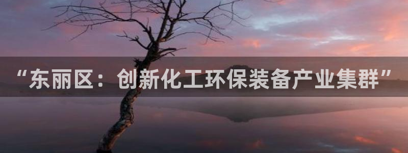 亿万billions：“东丽区：创新化工环保装备产业集群”