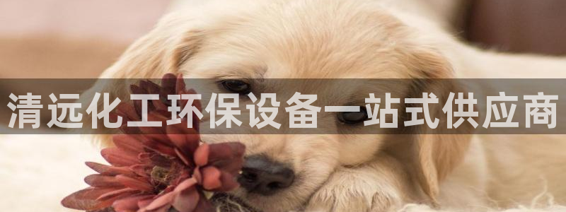 亿万billions：清远化工环保设备一站式供应商