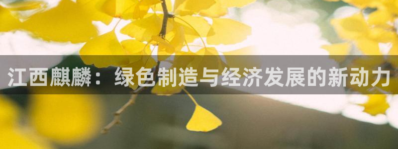 亿万购平台最新消息：江西麒麟：绿色制造与经济发展的新动力