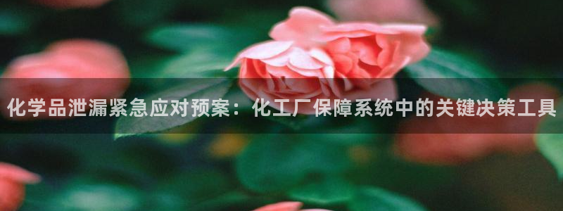 亿万先生首页：化学品泄漏紧急应对预案：化工厂保障系统中的关键决策工具