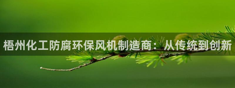 亿万先生官方网站客户端下载安装手机版：梧州化工防腐环保风机制造商：从传统到创新