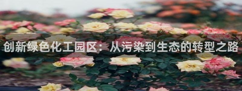 亿万先生网页在线客服：创新绿色化工园区：从污染到生态的转型之路