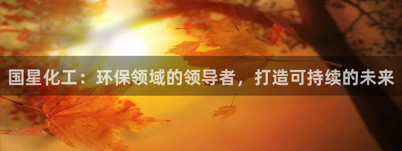 亿万城市手游官网：国星化工：环保领域的领导者，打造可持续的未来