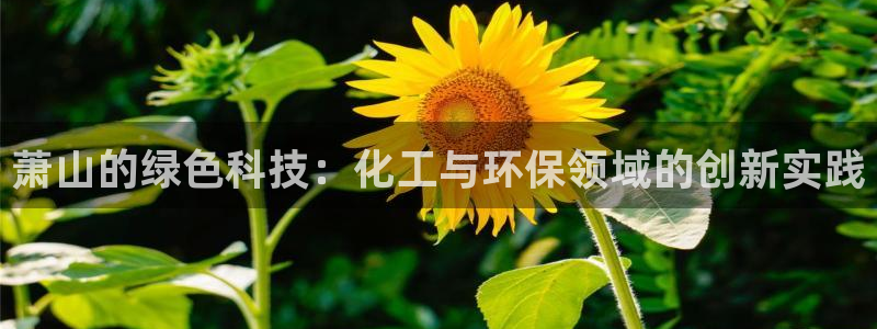 亿万先生mr：萧山的绿色科技：化工与环保领域的创新实践