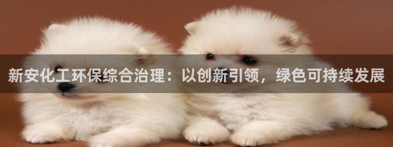 亿万先生官方客服：新安化工环保综合治理：以创新引领，绿色可持续发展