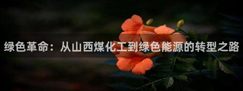 亿万第一季解说：绿色革命：从山西煤化工到绿色能源的转型之路