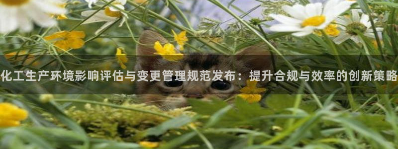 亿万剧情详解：化工生产环境影响评估与变更管理规范发布：提升合规与效率的创新策略