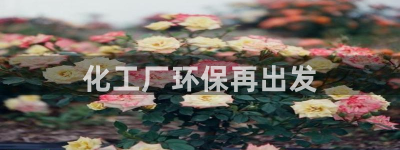 亿万剧情详解：化工厂环保再出发