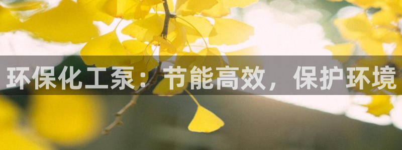 亿万先生手机版入：环保化工泵：节能高效，保护环境