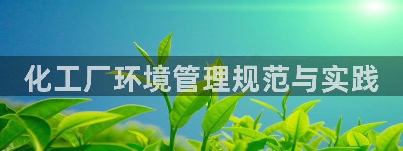 亿万先生换网址了吗知乎：化工厂环境管理规范与实践