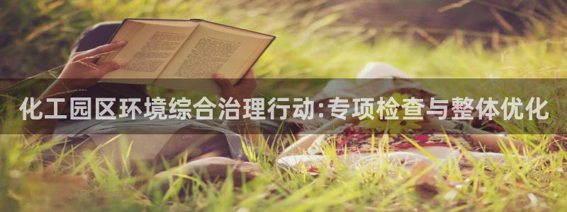 亿万先生007客服：化工园区环境综合治理行动:专项检查与整体优化