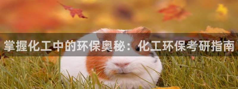 亿万先生网址生：掌握化工中的环保奥秘：化工环保考研指南