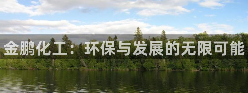 亿万首富手游:金鹏化工:环保与发展的无限可能