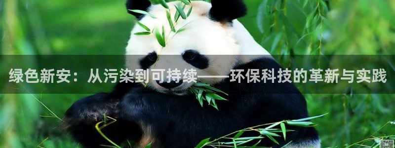 亿万先生 菲律宾：绿色新安：从污染到可持续——环保科技的革新与实践